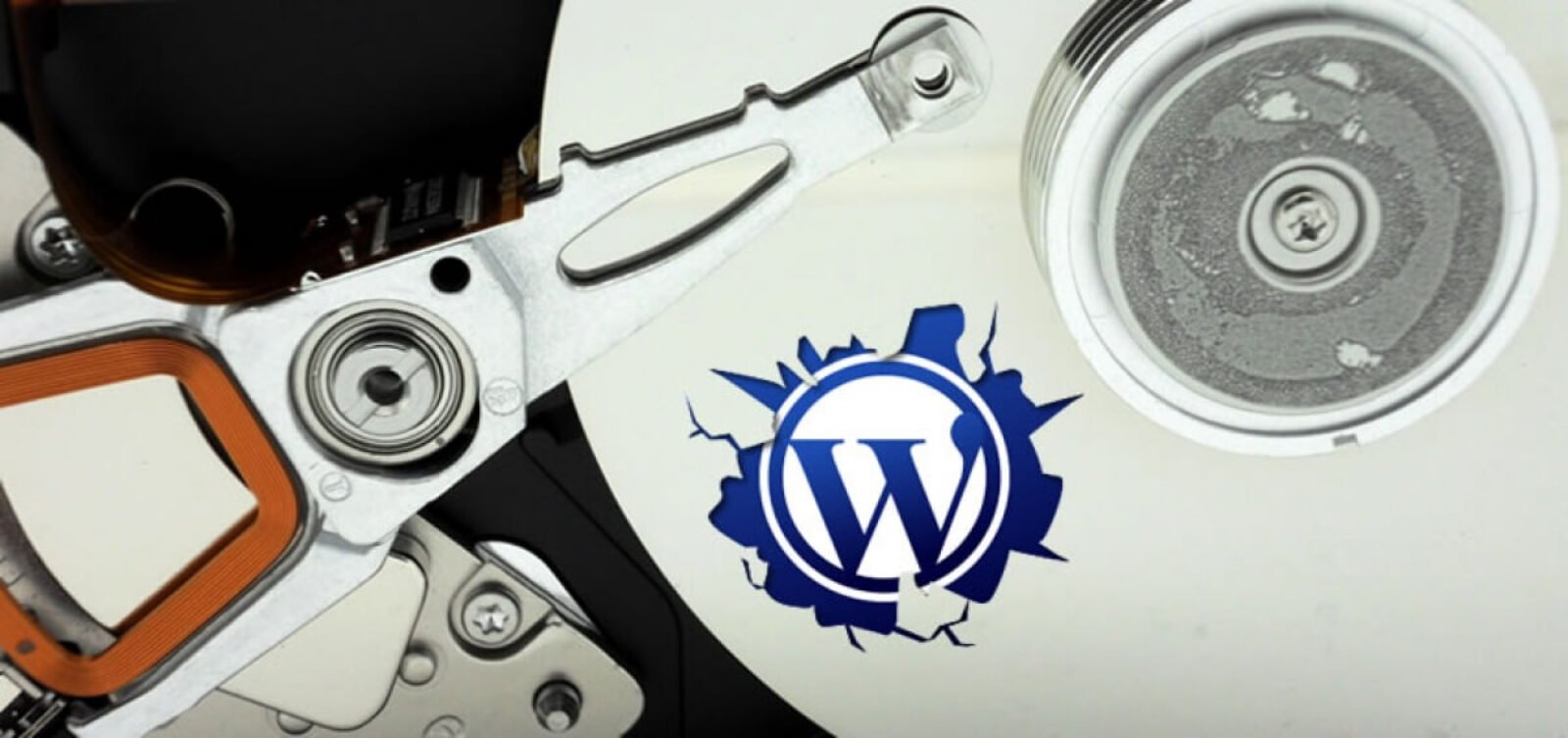 Πώς Θα Μειώσεις το μέγεθος του WordPress στον Server